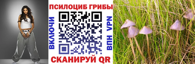 Галлюциногенные грибы Psilocybine cubensis Пыть-Ях